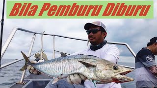 Cara Fast Jigging| Speed Jigging| Slow Jigging| Light Jigging Tenggiri Tg Karang Shimano Tranx VOL 1