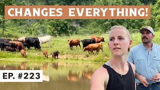 Our BIGGEST Ranch Upgrade Yet – Total Game Changer for the Herd!