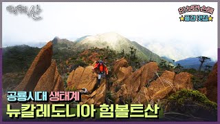 [영상앨범산] 섬 전체의 60%가 유네스코 세계자연유산! 뉴칼레도니아 산행 | “천상의 섬 신비의 숲 뉴칼레도니아 험볼트산” (KBS 131027 방송)