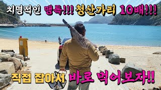 치명적인 맹독 청산가리 10배!! 목숨 걸고(?) 직접 잡아서 바로 먹어보았습니다!!