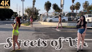 The Streets of LA - Figueroa Street - Part 2 | Los Angeles, Ca.  [4K]