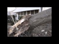 Winds topple massive tree branch into Southland home