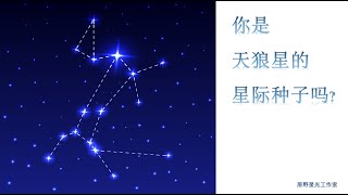 你是天狼星星际种子吗？天狼星的星际种子有哪些特征？