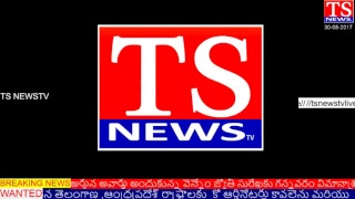 TS NEWSTV Live Stream