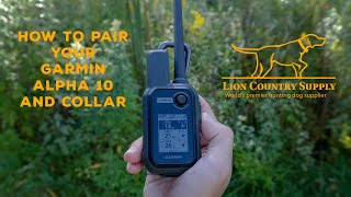 Garmin Alpha 10 - How to Pair Your Alpha 10 and Collar