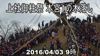 諏訪大社 御柱祭2016 山出し 本宮１の木落し土煙を上げて豪快に！