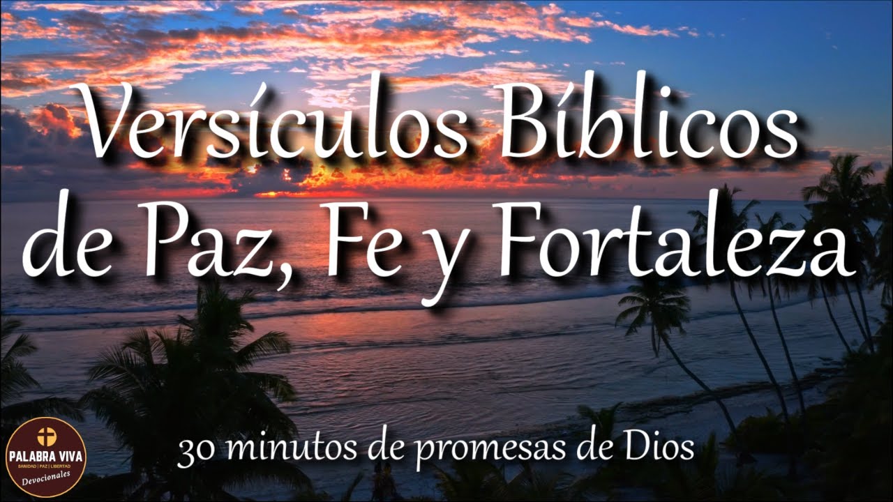 Versículos Bíblicos Que Te Llenarán De Paz, Fe Y Fortaleza | Biblia ...