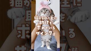 猫からのSOSサイン7選｜⑤と⑦が特に青ざめた😨 #猫