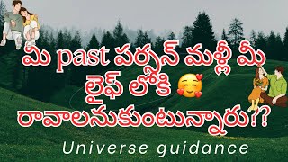 💯❤️మీ past పర్సన్ మళ్లీ మీ లైఫ్ లోకి రావాలనుకుంటున్నారు?? #tarot #tarotcardreading