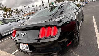 2015 Ford Mustang Ecoboost Horn