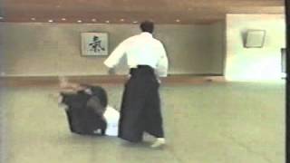 18 Daijuhachi taigi ushiro waza   72sec