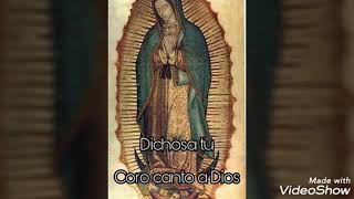 Dichosa tu - letra y Acordes - canto para la asunción de María