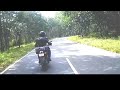 leopard almost got hit by my bike bandipur tiger reserve lucky to be alive leopard animallover