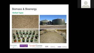 The Role of Bioenergy in the UK's Decarbonisation Strategy’