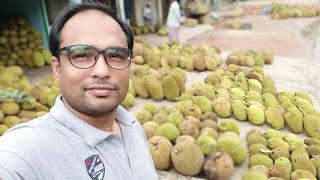 জাতীয় ফল কাঁঠাল কেন | শ্রীমঙ্গলের পাহাড়ি ফল কাঁঠাল আনারস।