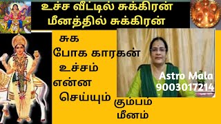 மீனத்தில் உச்சம் பெறும் சுக்கிரன் - நான்கு மாதங்கள் என்ன செய்யும் / Astro Mala - 9003017214 .