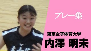 女子バレーボール 内澤明未 東京女子体育大学 プレー集 全日本インカレ2024 vs 龍谷大学