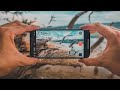 How to Film and Edit Cinematic Nature B Roll with iPhone