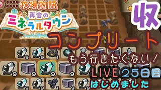 ついにコンプリート（飛行石以外）！牧場物語 再会のミネラルタウン　実況配信！　25日目【ネタバレ注意】〕