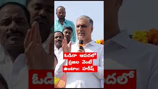 ఓడినా ఆపదలో ప్రజల వెంటే: హరీష్