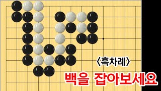 유단자사활 #63 (3단이상)