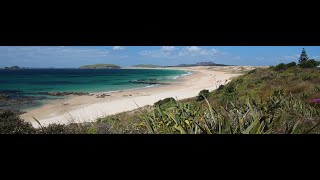 Henderson Bay, Northland NZ