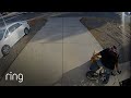 Get Out of My Backyard!⼁RingTV