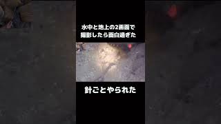 【穴釣り2画面】針ごと持ってかれる