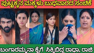 ಬಂಗಾರಮ್ಮನ ಎದುರು ಬಯಲಾಯ್ತು ಸತ್ಯ/puttakkana makkalu kannaada serial Wednesday episode review 05/06/2024