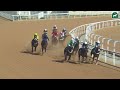 taif racing season meeting no 29 race no 3