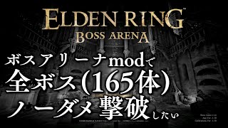 全ボス(165体) ノーダメ撃破チャレンジ　15\u002616体目  【エルデンリング】