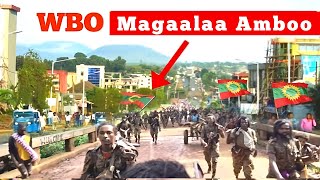 WBOn Magaalaa Amboo, fi naannoo ishee Dhuufanachuuf lola guddaatti jira Oduu Oolmaa Oromia dec12,202