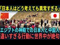 【海外の反応】「日本人は何を考えているんだ！」エジプトの神殿での日本人と中国人のあまりにも違う行動に世界中が驚愕した理由