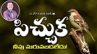 పిచ్చుక నీవు మరువబడలేదు! || Sunday Service - 1 || Dr. Noah