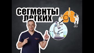 Как определять сегменты легких на рентгенограмме? | Рентгенология