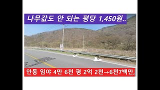 안동 임야 4만 6천 평 2억 2천→6천7백만, 나무값도 안 되는 평당 1,450원..(공매 물건)