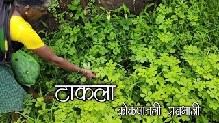 टाकला - कोकणातली पावसात मिळणारी रानभाजी | Takla RanBhaji - Konkan Jungle Vegetables | Konkan Vlog