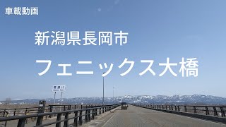 【車載動画】新潟県長岡市　フェニックス大橋