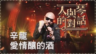 【單曲純享版】辛龍-愛情釀的酒《人與琴的對話》