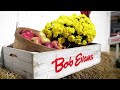 2021 Bob Evans Farm Fest