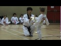 the taekwondo kid ryan breaks a board