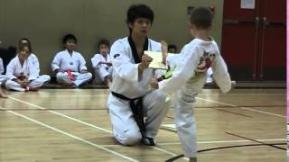 The Taekwondo Kid: Ryan breaks a board!