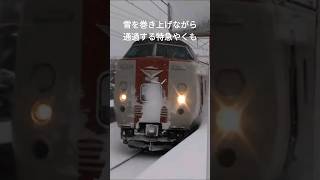 雪を巻き上げながら通過する特急やくも#jr #381系 #やくも #railway #train #電車 #乃木駅