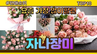 자나장미 추천 판매순위 Top10 || 가격 평점 후기 비교