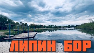 ЛИПИН БОР ASMR | КУРОРТ РУССКОЕ КОМО | ВАШКИНСКИЙ РАЙОН | БЕЛОЕ ОЗЕРО | Вологодская область