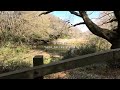 【鎌倉】山崎・台峯緑地ハイキング（横断｜光照寺～稲荷神社～谷戸の池～ししいし）