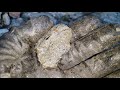 mineralized gold quartz veins running through this river canyon