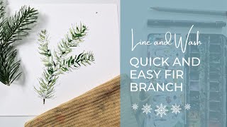 Easy line and wash drawing of Firbranch | Perfect for your Christmas cards