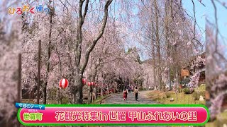 第４０１回　ひろおく便り　世羅町「花観光特集 in 世羅 甲山ふれあいの里」