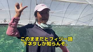 【ワーホリ🇦🇺】下ネタばっかり叩き込まれるんだけど😃